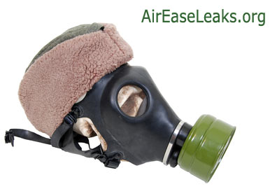 Air Pollutants / Quality of Life