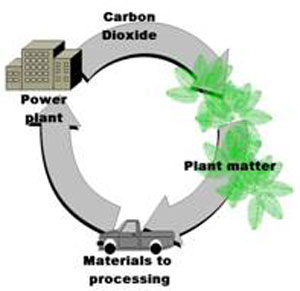Biomass Energy Production