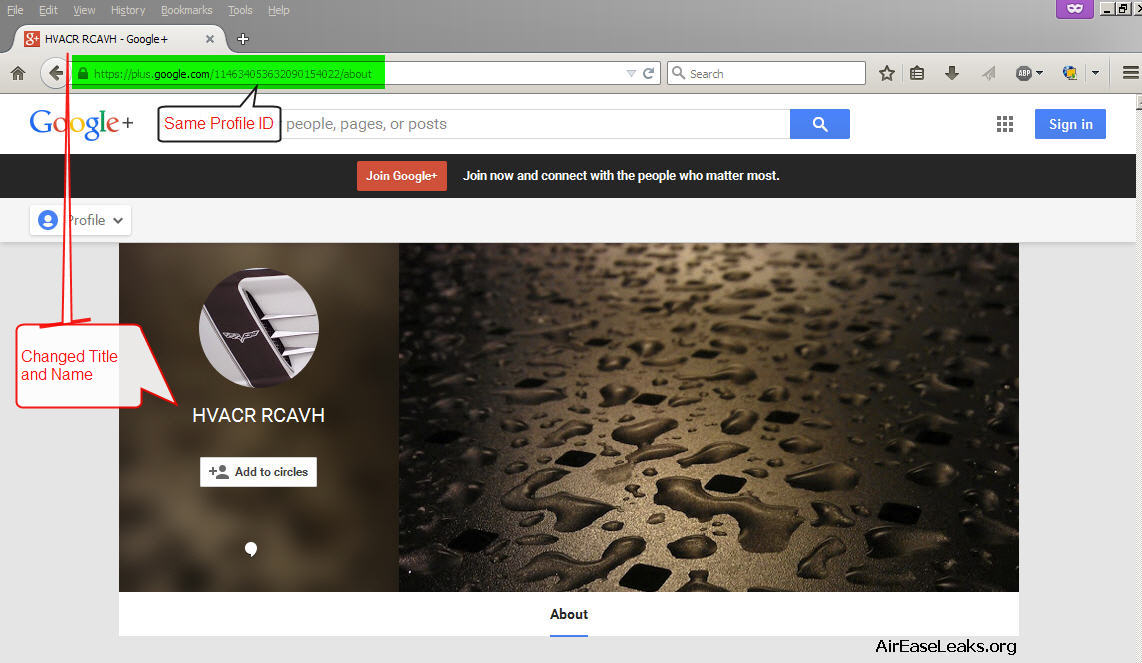 Air-Ease current fake profile page